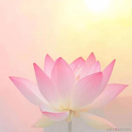 妮妮13524于2024-04-27 09:48发布的图片