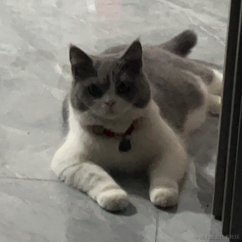 Simple_and_fond于2024-07-02 07:58发布的图片