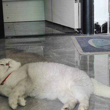 叨叨呀于2022-06-25 09:09发布的图片