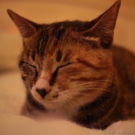 苏菲于2022-04-13 08:21发布的图片