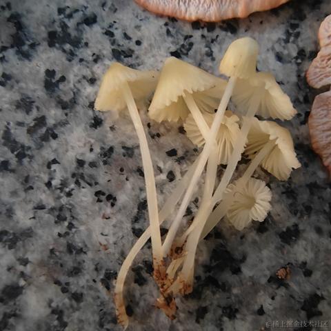 Uwiling于2022-11-28 19:58发布的图片