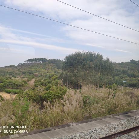 河罗于2023-01-27 19:20发布的图片