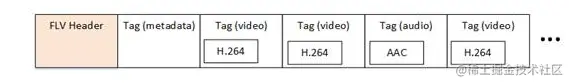 flvformat.png
