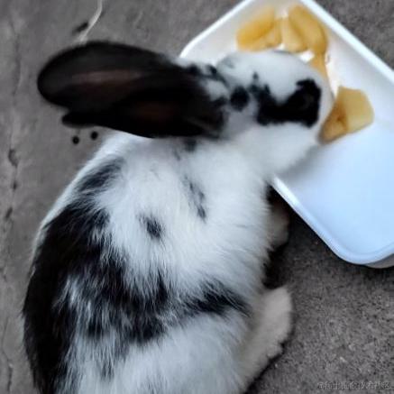 王木拉于2023-06-22 09:45发布的图片