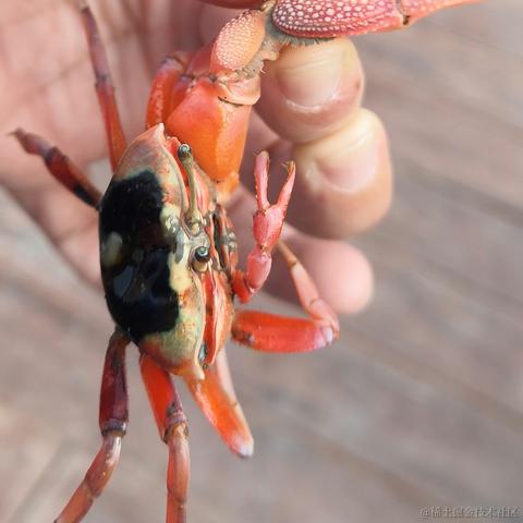 我想中奖于2023-01-26 13:10发布的图片