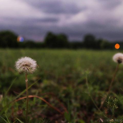 代码拼凑大师于2020-09-30 11:56发布的图片