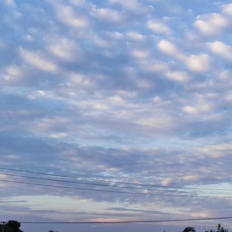 树洞robot于2022-11-17 09:53发布的图片