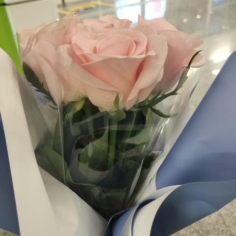 amiable于2023-07-09 23:08发布的图片