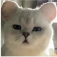 看乐子的乐子人于2023-02-15 15:27发布的图片