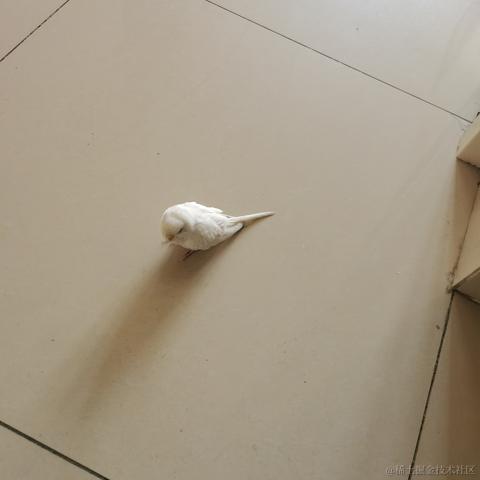 艾尔熙德于2023-11-17 10:46发布的图片