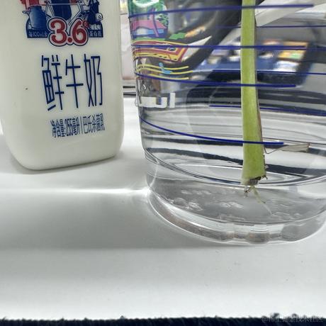 代码不出bug于2023-10-20 08:56发布的图片