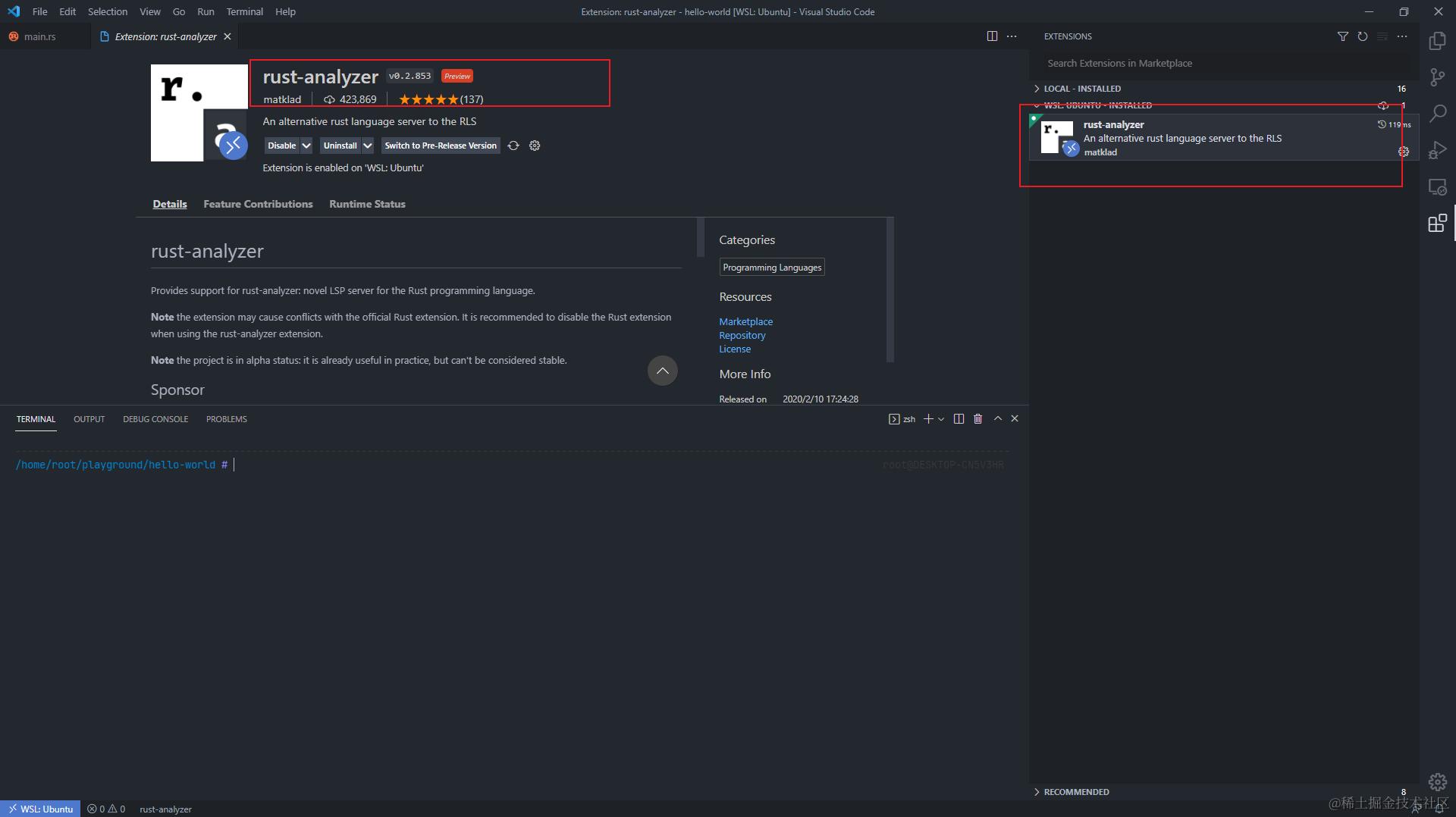 rust-analyzer 扩展