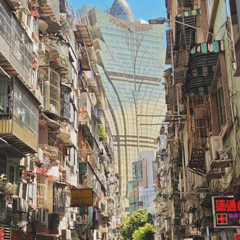 Uz于2024-07-15 12:03发布的图片