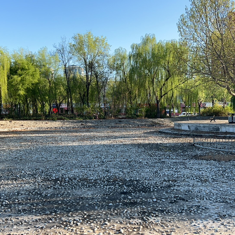 秋妈于2023-04-07 20:02发布的图片