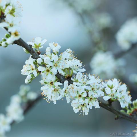 radawn于2023-03-18 09:35发布的图片
