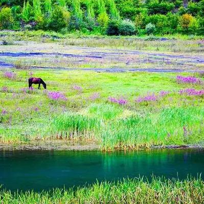 兴科Sinco于2023-03-09 06:57发布的图片