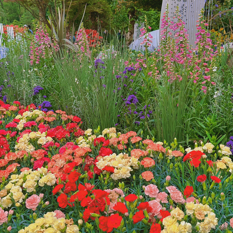 大富大贵AKkk于2023-04-14 22:39发布的图片