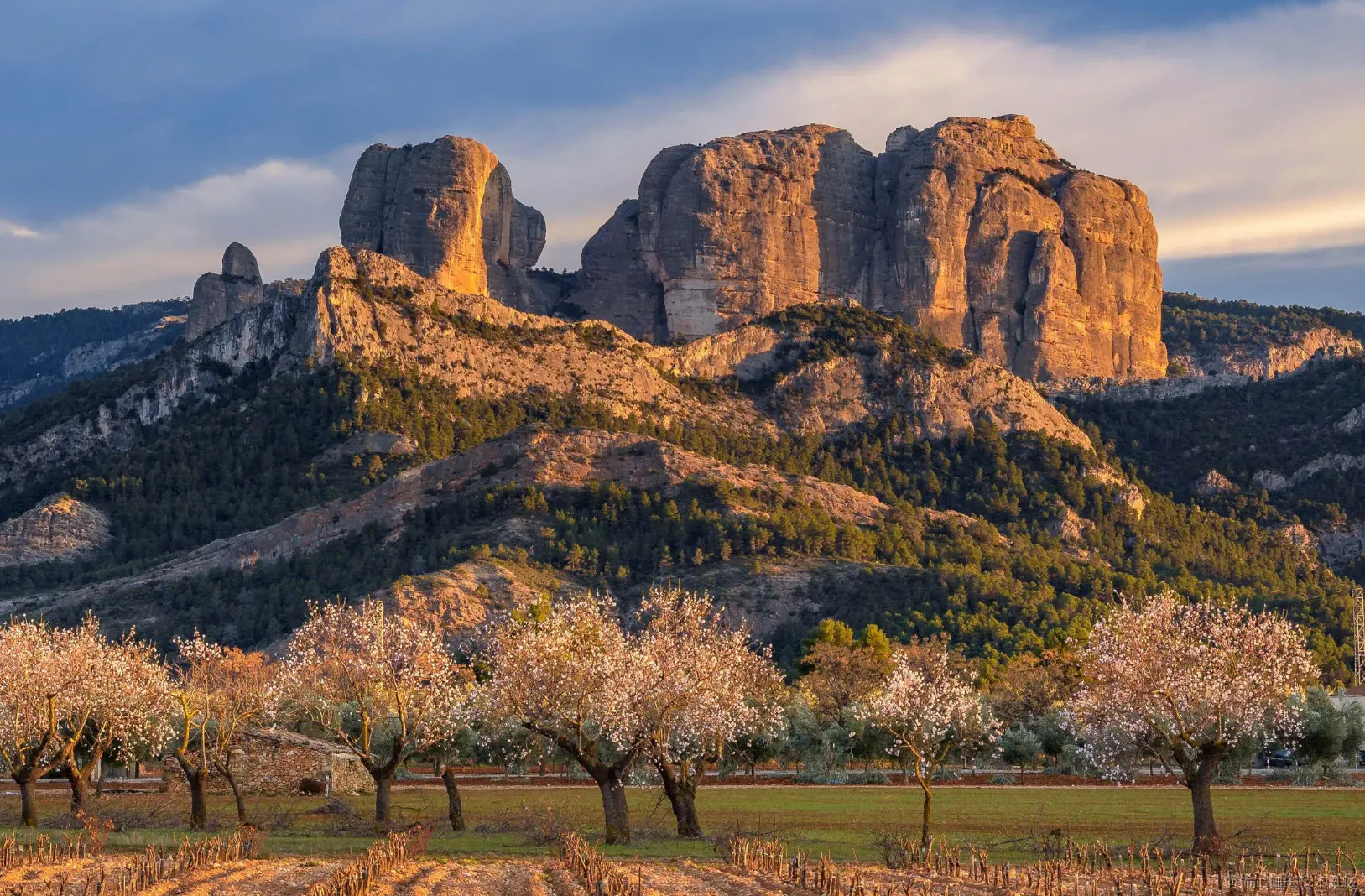 屏幕截图 2024-06-16 121431.png