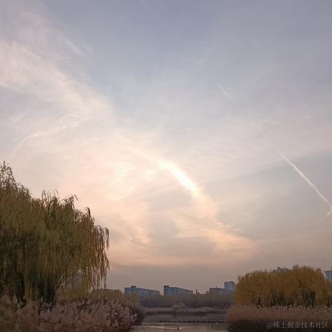 锅里没有晚晚于2022-11-21 18:25发布的图片