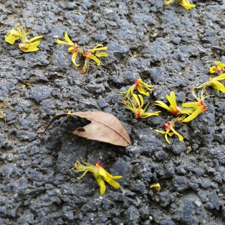 harvey_fly于2023-09-17 08:53发布的图片