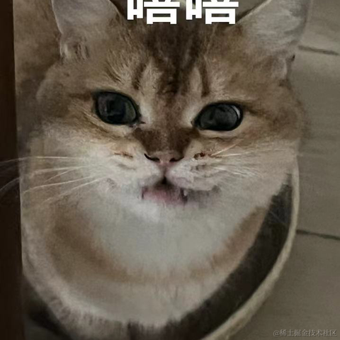 睡懒觉的浩How于2024-03-30 10:33发布的图片