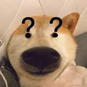 前车之鉴的个人资料头像