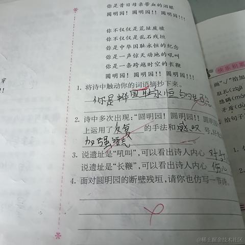 鸡柳大人的忠实信徒于2023-11-29 08:30发布的图片