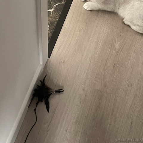 喵怼怼于2023-05-15 09:11发布的图片