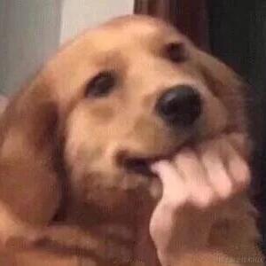 贝极星不是憨憨于2022-11-19 19:40发布的图片