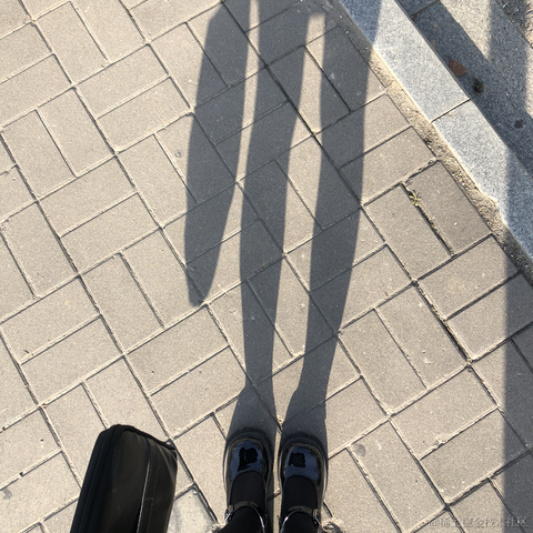 面包泡牛奶于2023-03-28 08:37发布的图片