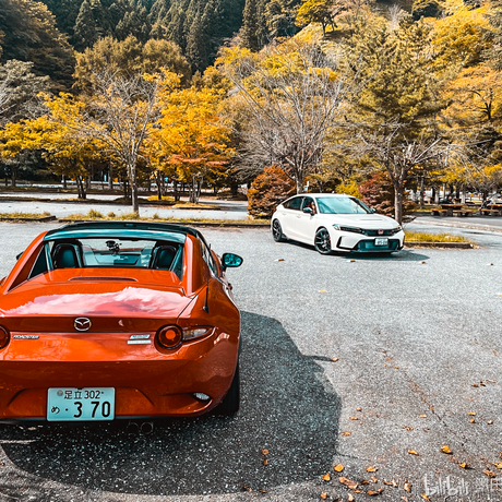 颠三倒四小贝拉于2022-11-26 19:06发布的图片