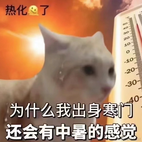 juicesoo于2023-07-12 21:32发布的图片