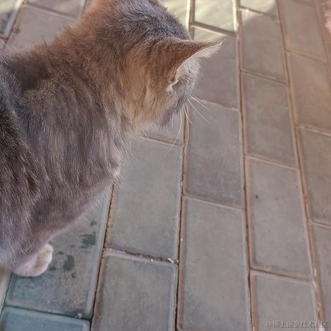 用户9132133315776于2022-12-10 21:17发布的图片