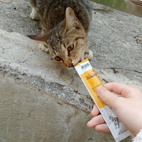 晚晚才不是大木头于2022-11-09 15:29发布的图片