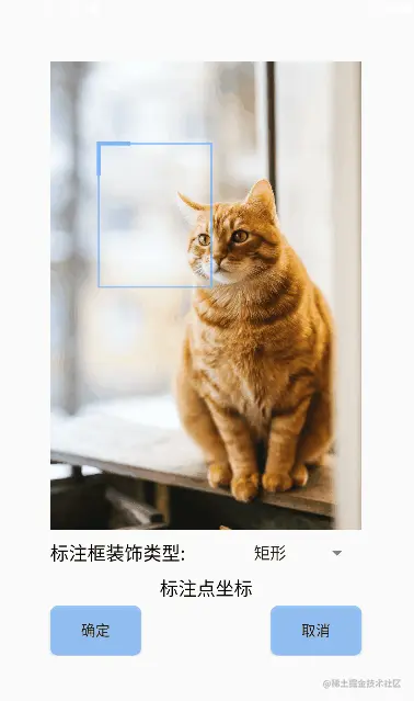 算法标注框-非对称形状.gif