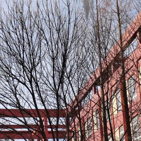 kzcserin于2022-12-01 06:32发布的图片