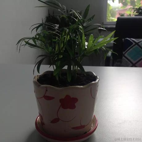 缟衣綦巾于2022-12-19 21:43发布的图片