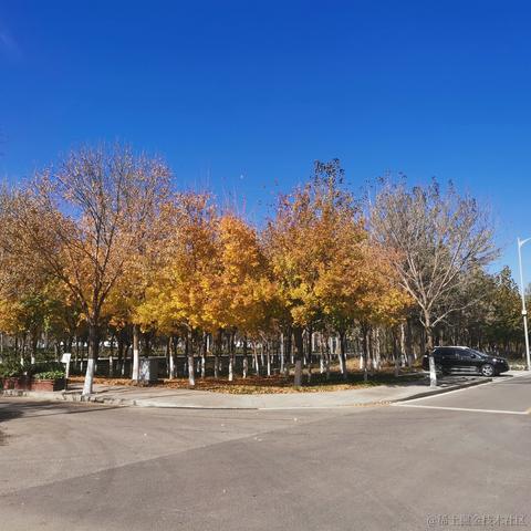 好大的雨于2021-11-29 20:45发布的图片