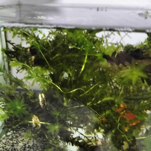 是小高同学呀于2023-05-02 19:46发布的图片