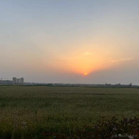 蓝斑_json于2024-05-22 11:35发布的图片