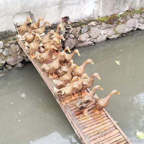 果丹皮超级加倍于2022-11-26 21:07发布的图片