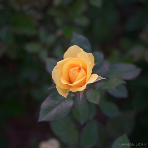 向晚的妻子于2022-11-09 18:35发布的图片