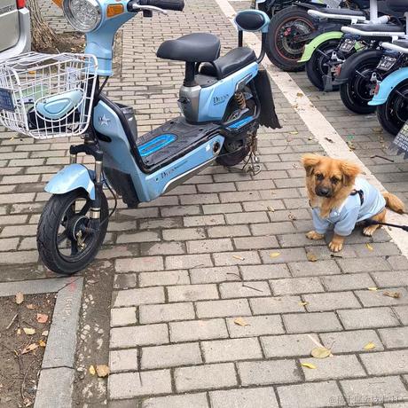 方方土105于2022-11-23 22:44发布的图片