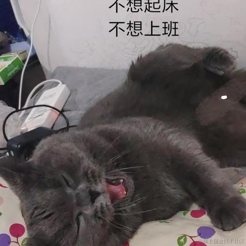 芒果西柚呀于2021-05-25 11:20发布的图片