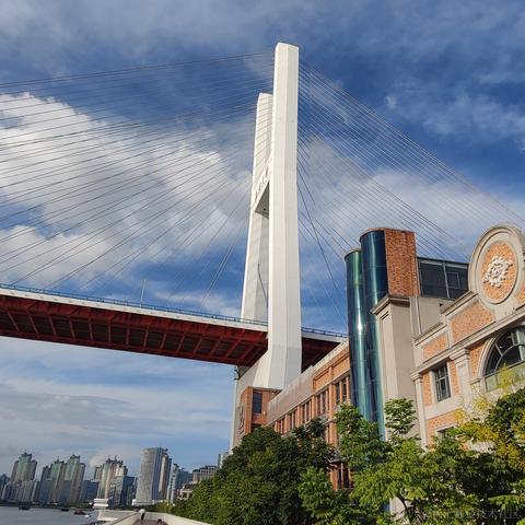 bysking于2023-08-28 19:03发布的图片