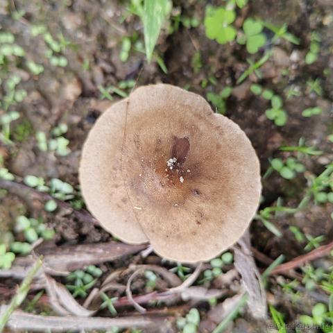 Uwiling于2022-11-21 15:46发布的图片