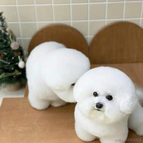 BooBoo于2021-12-26 17:26发布的图片