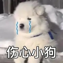Untitled 1.png
