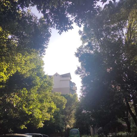 哔哔姬于2023-07-06 07:39发布的图片