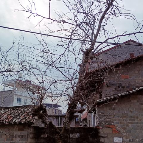 嵌入式视觉于2023-01-21 16:31发布的图片